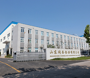 企業(yè)簡(jiǎn)介